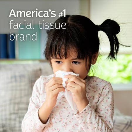 AUCT 24950 - Kleenex Trusted Care Facial Tissues, 8 Flat Boxes, 200 Tissues per Box, 2-Ply - Image 2