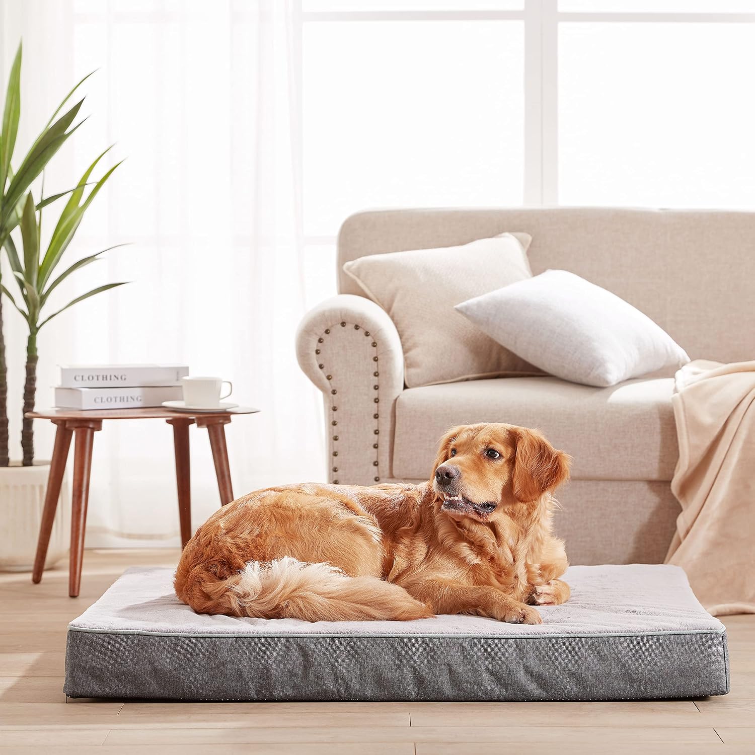 AUCT 23507 - $85 Cooling Dog Beds for Dogs, Orthopedic Memory Foam Dog Bed Washable Pet Beds for Crate - Image 2